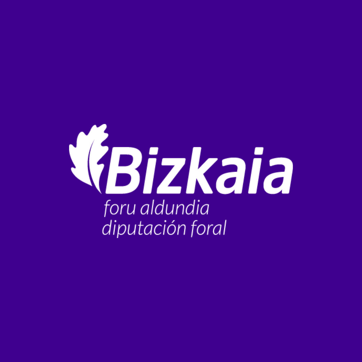Provincial Council of Bizkaia